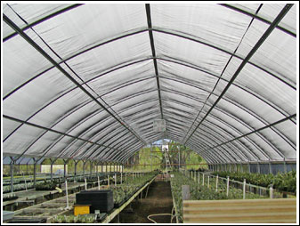 green house suppliers